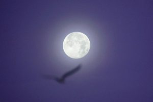 Небезпечний астероїд може вдарити по Місяцю 2032 року: NASA зробило новий прогноз